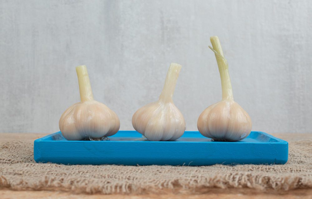 How to grow garlic indoors